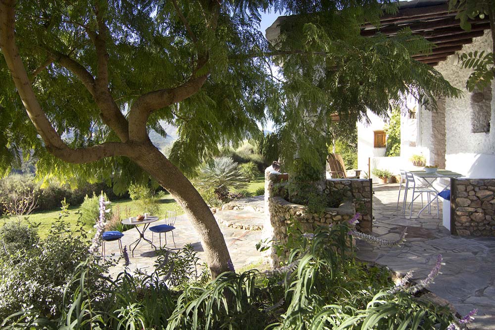 Los árboles proporcionan intimidad